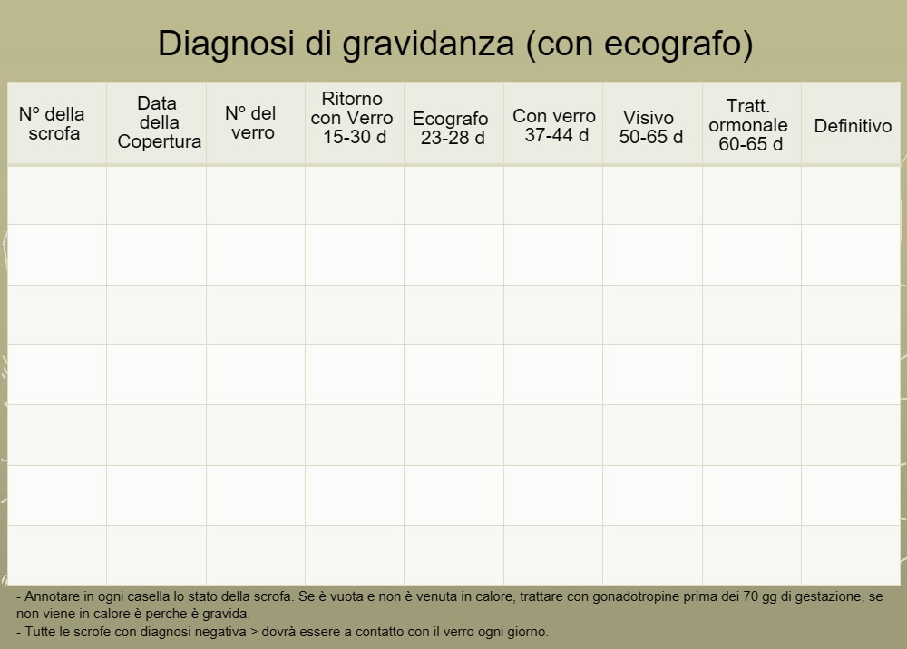 Control de gestación