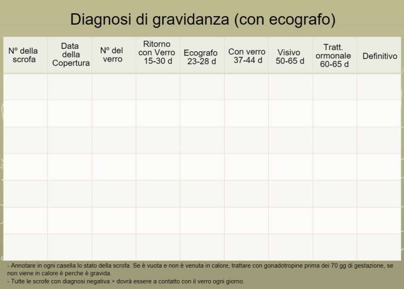 Control de gestaci&oacute;n