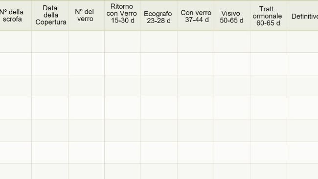 Control de gestación