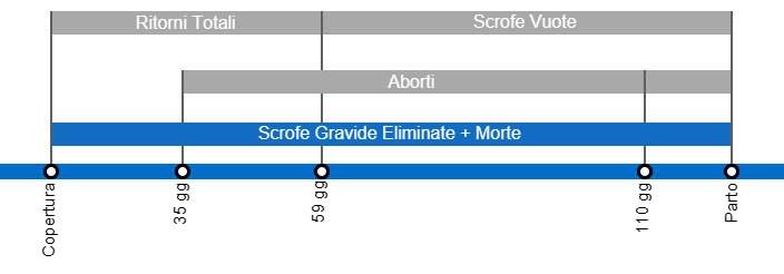 Scrofe eliminate e morte