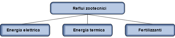 Reflui zootecnici