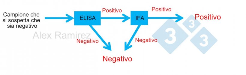 Diagramma che mostra l&#39;uso di PRRS IFA come test di conferma per campioni che sono inaspettatamente positivi per PRRS da ELISA. Un campione sospettato di essere negativo ed ELISA negativo &egrave; considerato negativo. Se questo campione &egrave; inaspettatamente positivo, &egrave; possibile eseguire un IFA PRRS come test di conferma. Se il test IFA &egrave; positivo, il campione si conferma positivo. Se il test IFA &egrave; negativo, supporremo che sia stato un falso positivo fintanto che anche la PCR &egrave; negativa per confermare che non c&#39;&egrave; infezione recente.
