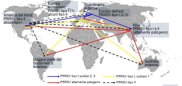 Distribución mundial del PRRSV y transmisión intercontinental hipotética