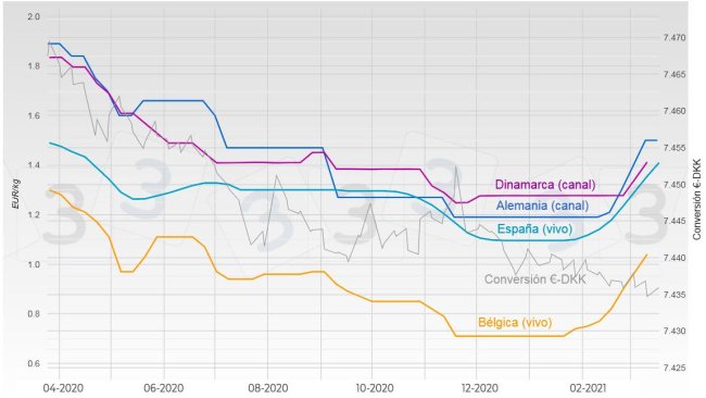 Grafico 1. Evoluzione del prezzo del suino in Germania, Spagna, Danimarca e Belgio.