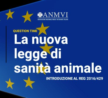anmvi