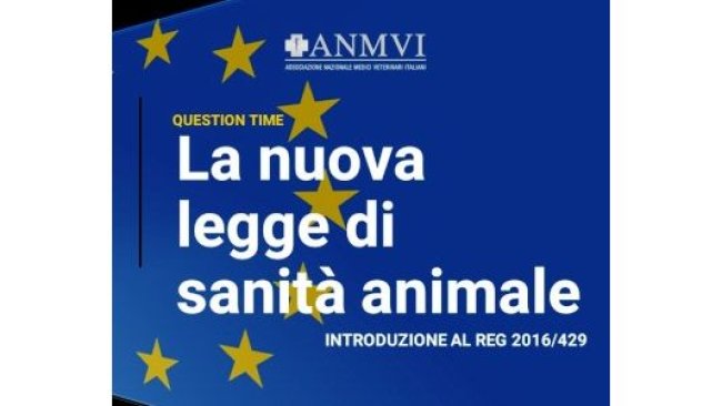 anmvi