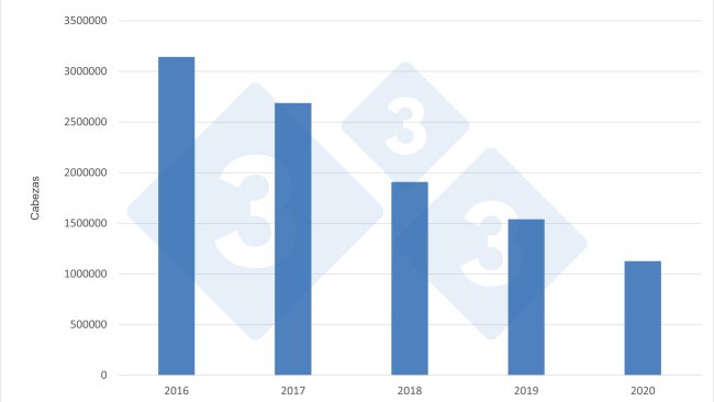 Importazioni tedesche annuali di suini da ingrasso dai Paesi Bassi.