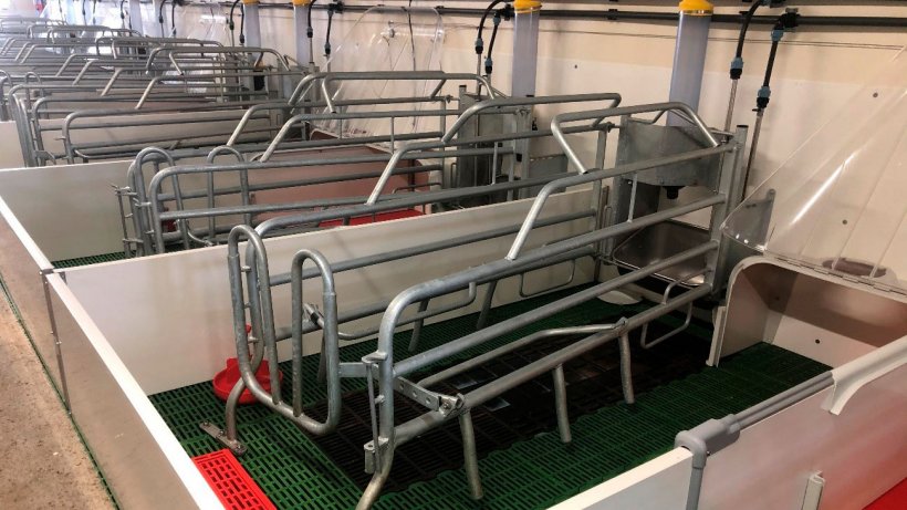 Immagine 2. Posto di gabbia parto&nbsp;adeguatamente pulita, disinfettata e asciugata per ricevere l&#39;ingresso delle scrofe al parto.
