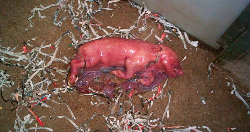 Monitoraggio dei parti: Sistemi di controllo