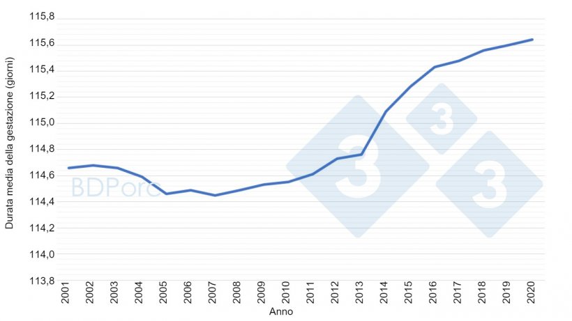 Grafico 2. Durata media della gestazione delle scrofe in Spagna dal 2001 al 2020. Fonte: BDPorc.
