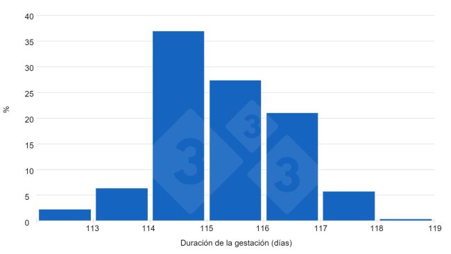 Grafico 1. Le risposte degli utenti di 333 indicano una tendenza verso gestazioni superiori a 115 giorni.