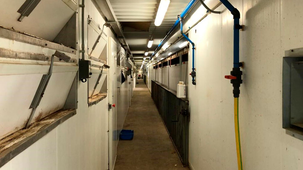 Luso di pediluvi allingresso dei reparti di sala parto, così come la pulizia generale e le misure di ordine in allevamento, sono importanti per ridurre al minimo la pressione dellinfezione.