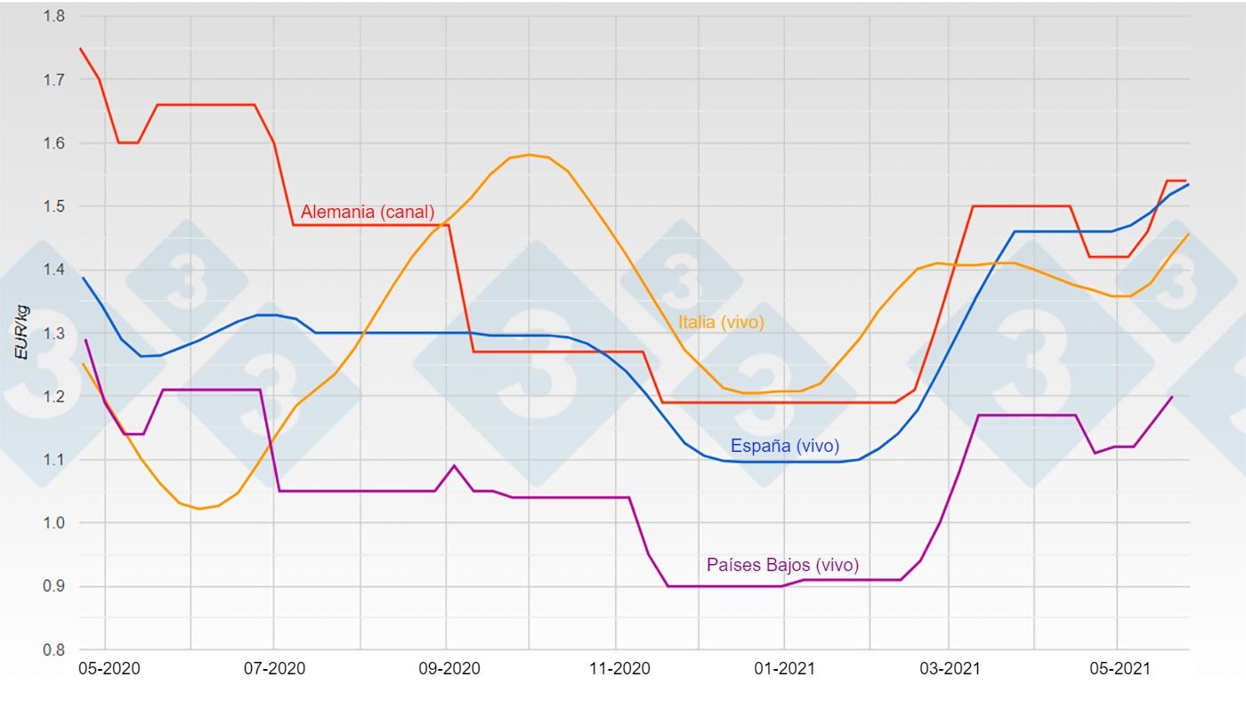 Grafico 1. Evoluzione del prezzo del suino in Germania, Spagna, Paesi Bassi e Italia.

