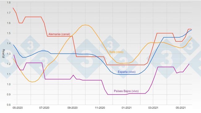 Grafico 1. Evoluzione del prezzo del suino in Germania, Spagna, Paesi Bassi e Italia.