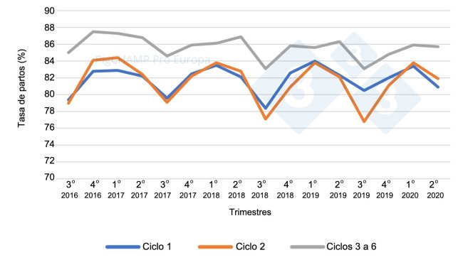 Grafico 4. Portata al parto per ciclo e per trimestri di coperture: coperture periodo Luglio 16-Giugno 20.