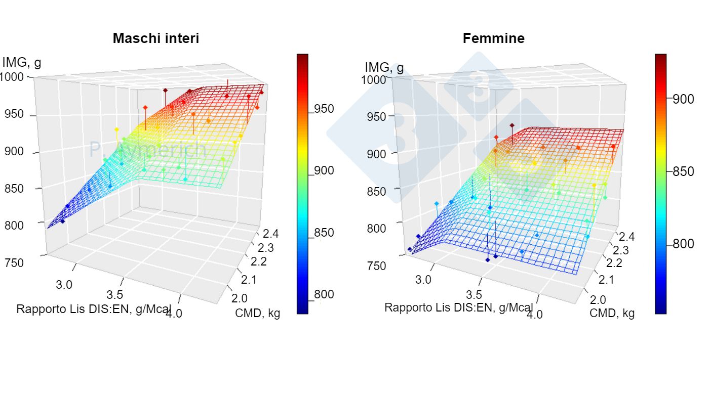 Figura 1. Modello&nbsp;dell'effetto del rapporto lisina-energia e del consumo medio giornaliero in maschi interi e femmine tra 70 e 105 kg di peso vivo. IMG&nbsp;= Incremento&nbsp;medio giornaliero, CMD = consumo medio giornaliero. Fonte: Aymerich et al., 2020.
