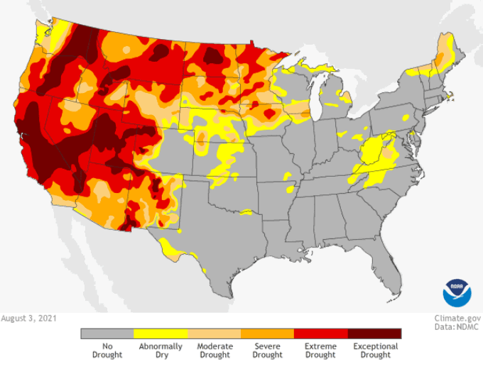 Figura 1. Mappa della siccit&agrave; negli Stati Uniti al 3 agosto 2021 (Fonte: www.climate.gov - NOOA)
