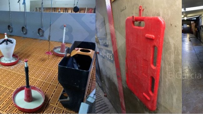 Figura 2. Avere la sala pronta prima dell'arrivo dei suinetti e mantenere tutta l'attrezzatura ordinata e pulita fa una grande differenza in termini di igiene, efficienza e comfort per i suinetti.