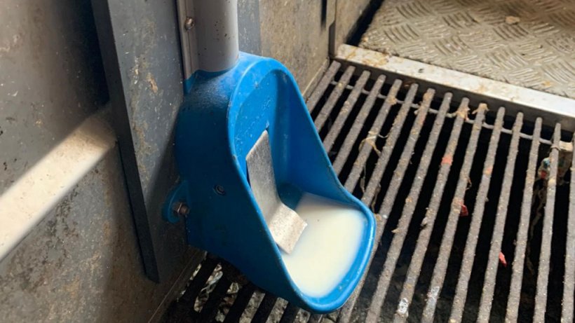 Ciottola per latte
