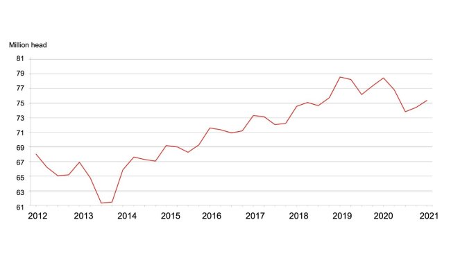 Inventario trimestrale di suini e carni suine - Stati Uniti: 1° settembre. Fonte: USDA.