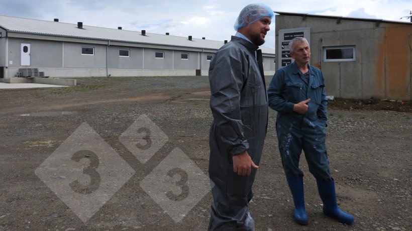 Capannone d'ingrasso in un allevamento di suini situato a Hennon, in Bretagna, che fa parte della cooperativa Cooperl.