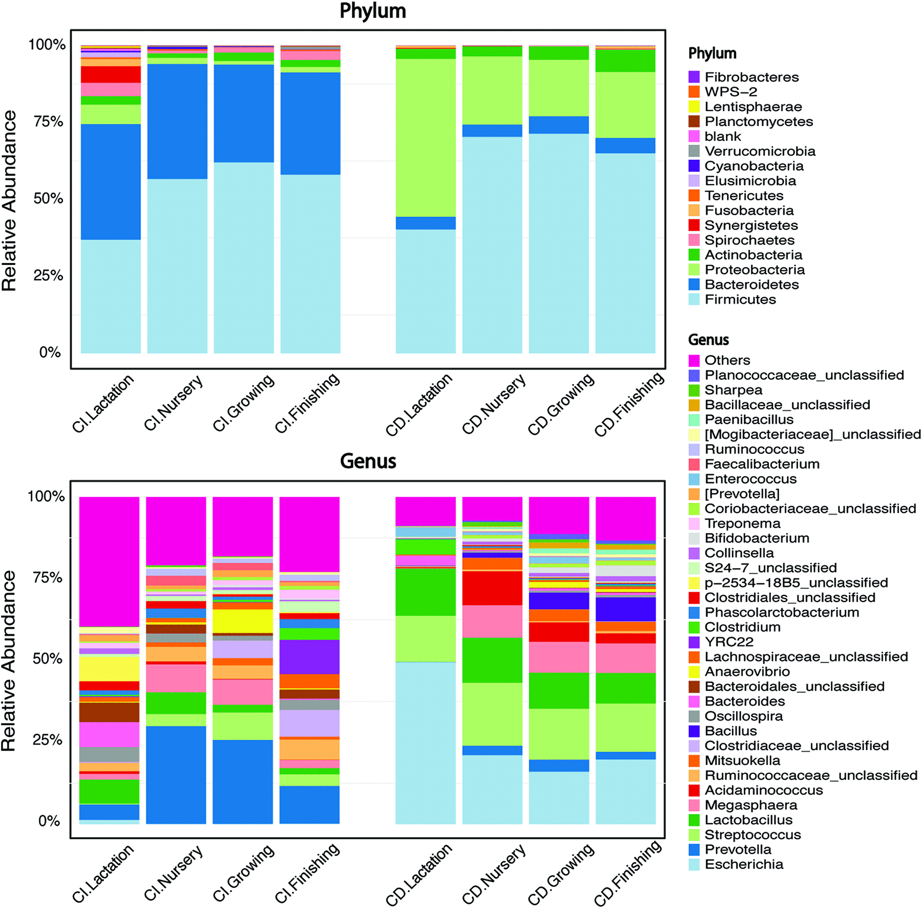 Grafici a barre che mostrano i phyla (pannello superiore) e i primi 20 generi (pannello inferiore) nelle feci suine raccolte in quattro punti temporali mediante sequenziamento dell'amplicone del gene 16S rRNA utilizzando metodi indipendenti dalla coltura (CI) o dipendenti (CD). Il grafico a barre in pila generato dal metodo CD è il risultato dell'unione di taxon da tutte le 53 condizioni di coltura. L'altezza della barra in ogni colore rappresenta l'abbondanza relativa di un taxon batterico.