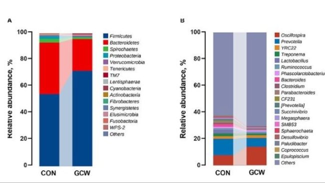 Figura 2. Profili di composizione del microbiota intestinale. Grafico a barre che mostra l'abbondanza relativa di microbiota ai livelli di phylum (A) e genere (B) per i gruppi di controllo e GCW. Diversi livelli di batteri a livello del phylum (C) e del genere (D) tra i gruppi di controllo (n = 8) e GCW (n = 7). (E) Abbondanza relativa di geni coinvolti nella 7α-deidrossilazione degli acidi biliari (baij) e nell'idrolisi dei sali biliari (bsh1 e bsh2) tra i gruppi di controllo (n = 15) e GCW (n = 14). I dati sono presentati come medie ± SEM. *p<0,05, **p<0,01.