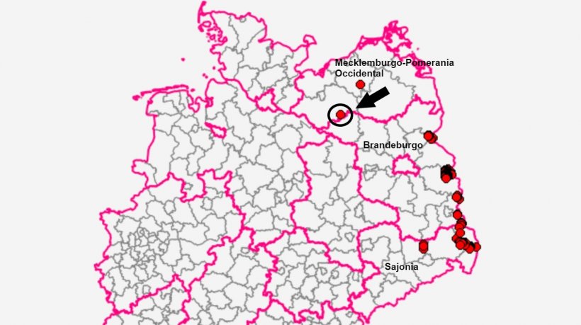 Il ritrovamento &egrave; stato effettuato a Marnitz nel distretto di Ludwigslust-Parchim. Fonte: TSIS.

