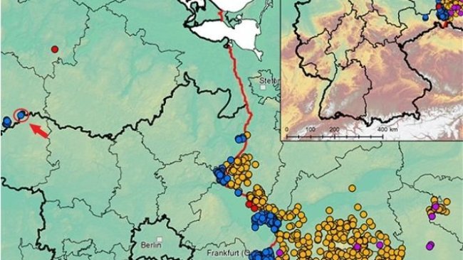 Peste suina africana in Germania e Polonia occidentale dal settembre 2020 (al 3 dicembre 2021). Fonte: FLI.