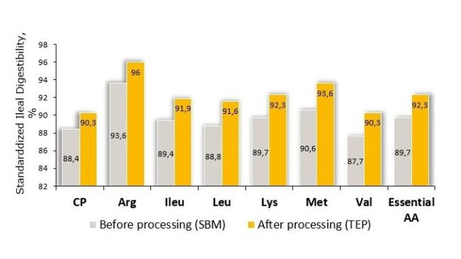 Figura 1. L'elaborazione facilitata da enzimi termomeccanici di SBM ha aumentato (P <0,05) la digeribilità ileale standardizzata (SID) di CP e SID di tutti gli AA fino al 3,3% rispetto a prima dell trattamento.