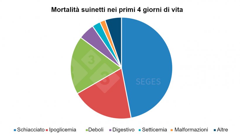Grafico 1. Eziologia della mortalit&agrave; dei suinetti lattanti nei primi giorni (SEGES, 2017).
