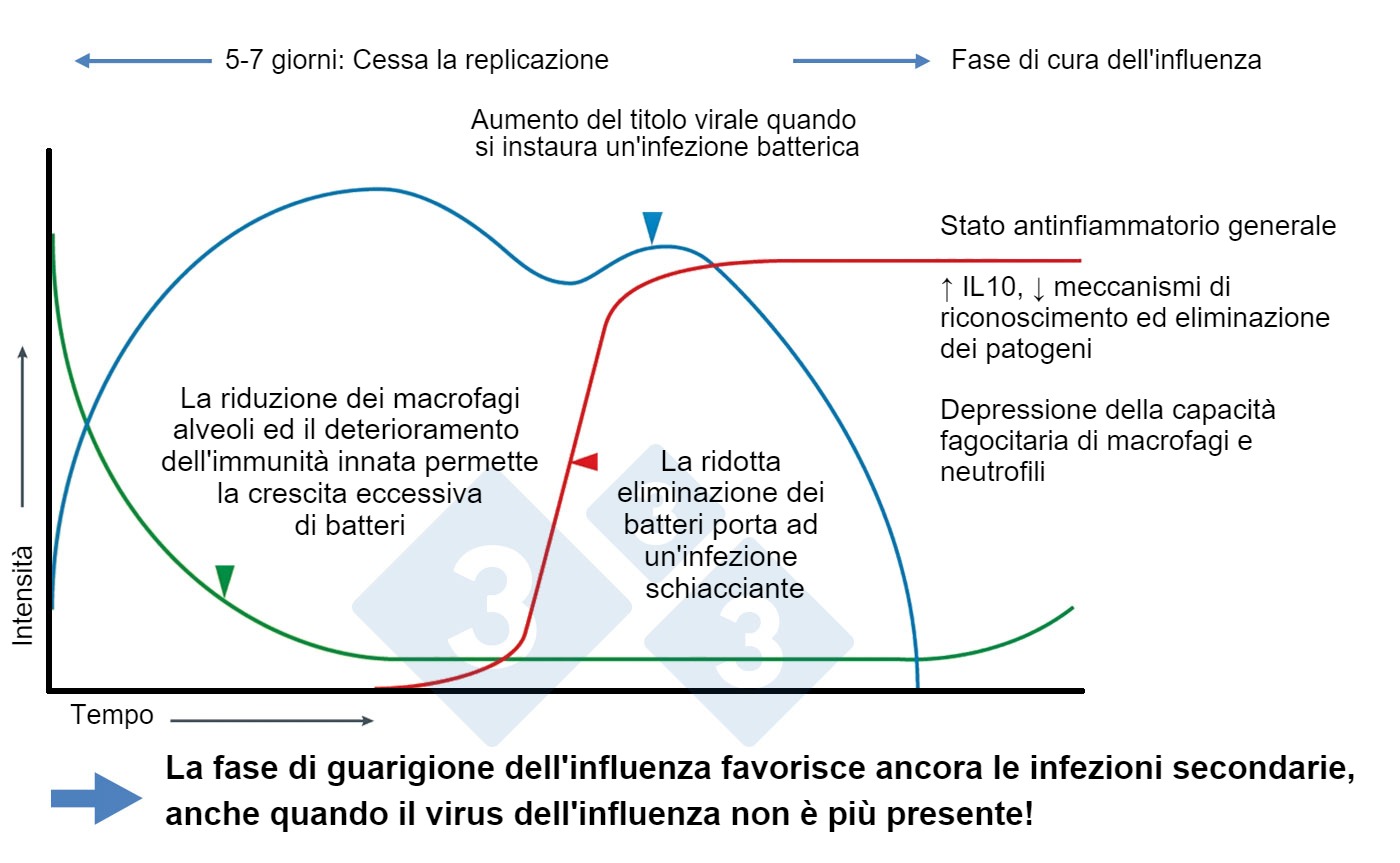 Modificado de McCullers