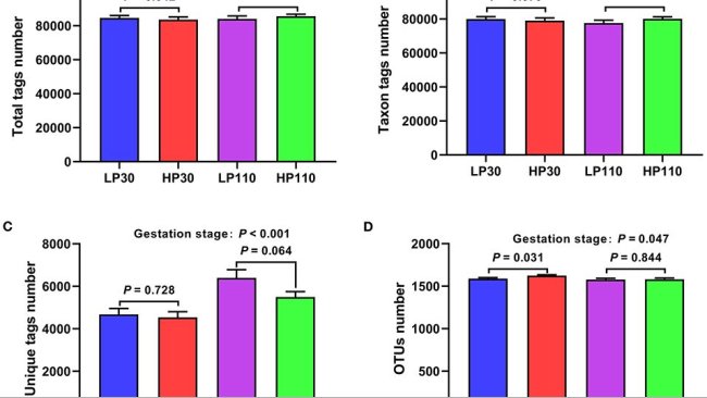 Figura 1. Raggruppamento dell'unità tassonomica operativa (OUT) e annotazione dei campioni fecali della scrofa nei giorni 30 e 110 di gestazione. (A) Numero totale di tag; (B) numero di tag taxon; (C) numero di tag univoci; (D) Numero OTU. LP30 e LP110: scrofe con scarso rendimento riproduttivo rispettivamente al giorno 30 e giorno 110 di gestazione; HP30 e HP110: scrofe con elevate prestazioni riproduttive rispettivamente al giorno 30 e giorno 110 di gestazione. Stadio di gestazione: differenza nelle variazioni tra d 30 e d 110 di gestazione. I valori sono media ± errore standard (n = 13). variations between gestation d 30 and d 110. Values are mean ± standard error (n = 13).