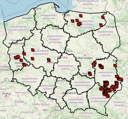 ASF outbreaks