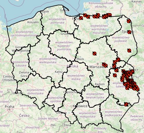 <p>ASF outbreaks by year 3</p>
