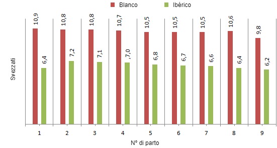 Destetados/cerda según nº de parto