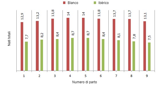 Prolificidad según nº de parto