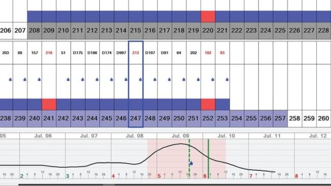 Screenshot del software PigWatch che mostra le scrofe già inseminate con una dose (goccia blu), l'evoluzione dell'estro delle scrofe in analisi (213) e il consiglio ottimale per l'inseminazione (barra verticale verde) o dell'inseminazione preventiva se non fosse possibile l'inseminazione nell'orario proposto (barra verticale verde tratteggiata). "Con le mani" la scrofa 207 e 210 mostra la tecnica manuale in assenza di un algoritmo.