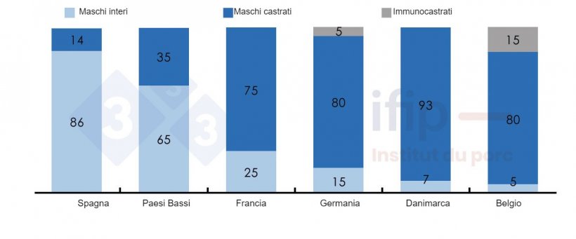 Percentuali di macellazione dei suini secondo maschi interi, castrati o immunocastrati.
