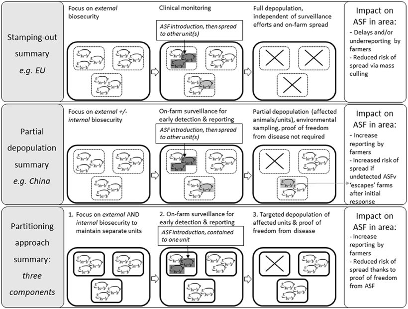 Figura 1. Confronto tra i principi dell'approccio standard di controllo della PSA, depopolamento parziale e approccio di partizionamento, utilizzando un'allevamento di esempio con tre unità epidemiologiche (ad esempio, tre capannoni da ingrasso).