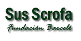 logo sus scrofa