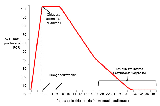 Procedure ed identificazione del virus PRRS 