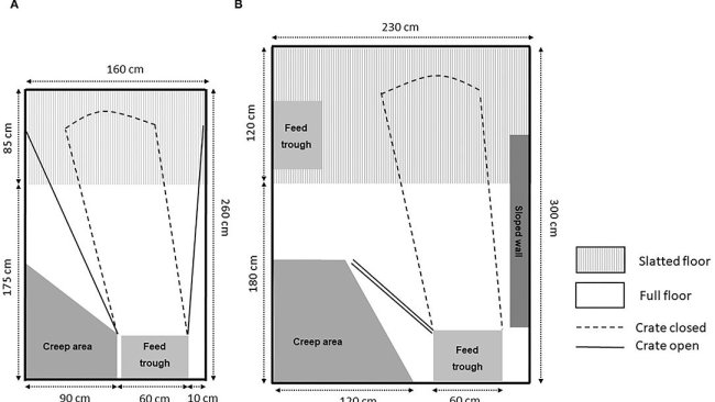 Figura 1. Esempi di recinti con confinamento temporaneo: (A) gabbia apribile e (B) box SWAP