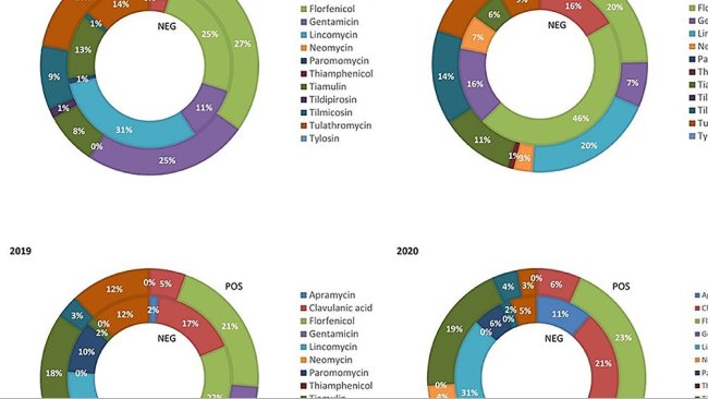 Figura 1. Quantità relativa del peso dei suinetti svezzati trattati con antibiotici di classe C nelle filiere PRRS negative (NEG) e PRRS positive (POS) dal 2017 al 2020.