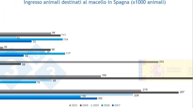 Figura 3. Entrata di suini con destinazione macello in Spagna dal 2021 al 2021 Fonte MAPA.
