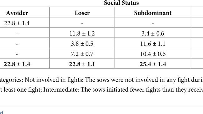Tabella 1. Proporzione di scrofe che mostrano comportamento aggressivo secondo lo status sociale
