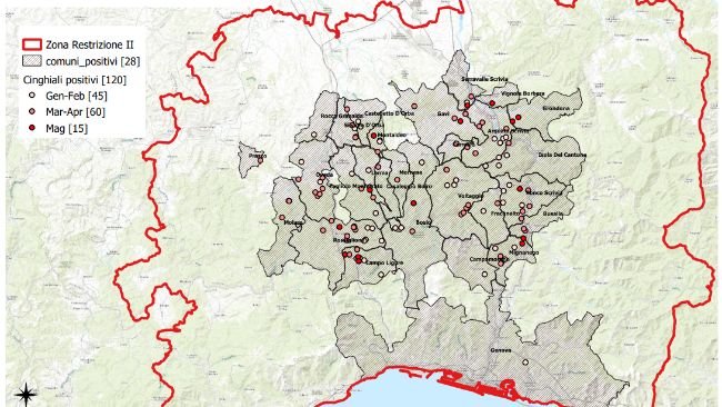 nord