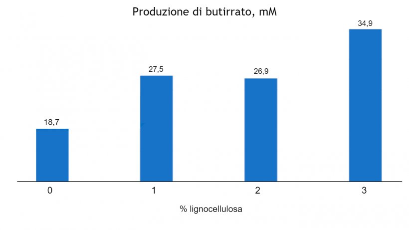 Figura 1. Effetto dose-dipendente dell&#39;inclusione di lignocellulosa sulla produzione di butirrato (mM) nei suinetti svezzati a 63 giorni di vita (adattato da Silva-Guillen et al., 2022) P=0,001 SEM= 1,810
