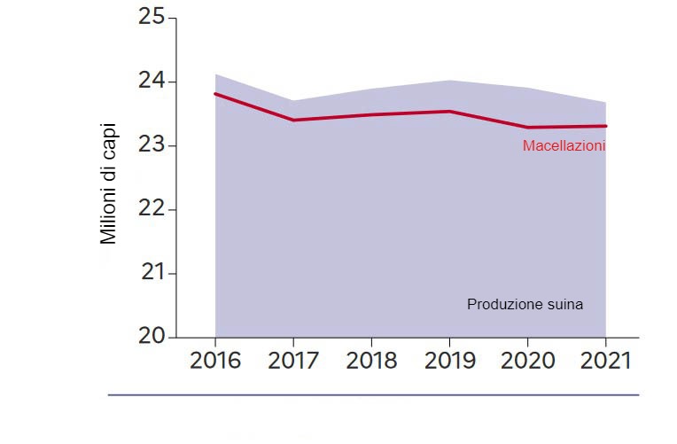 Nel&nbsp;2021, cala la produzione di suini.
