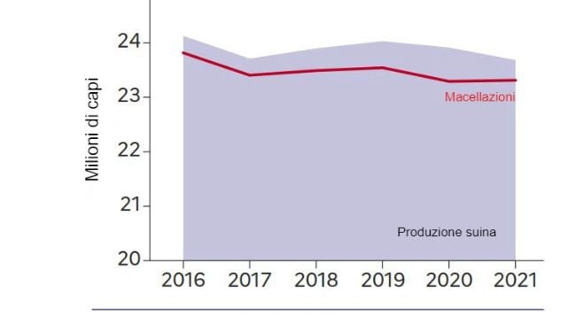 Nel 2021, cala la produzione di suini.